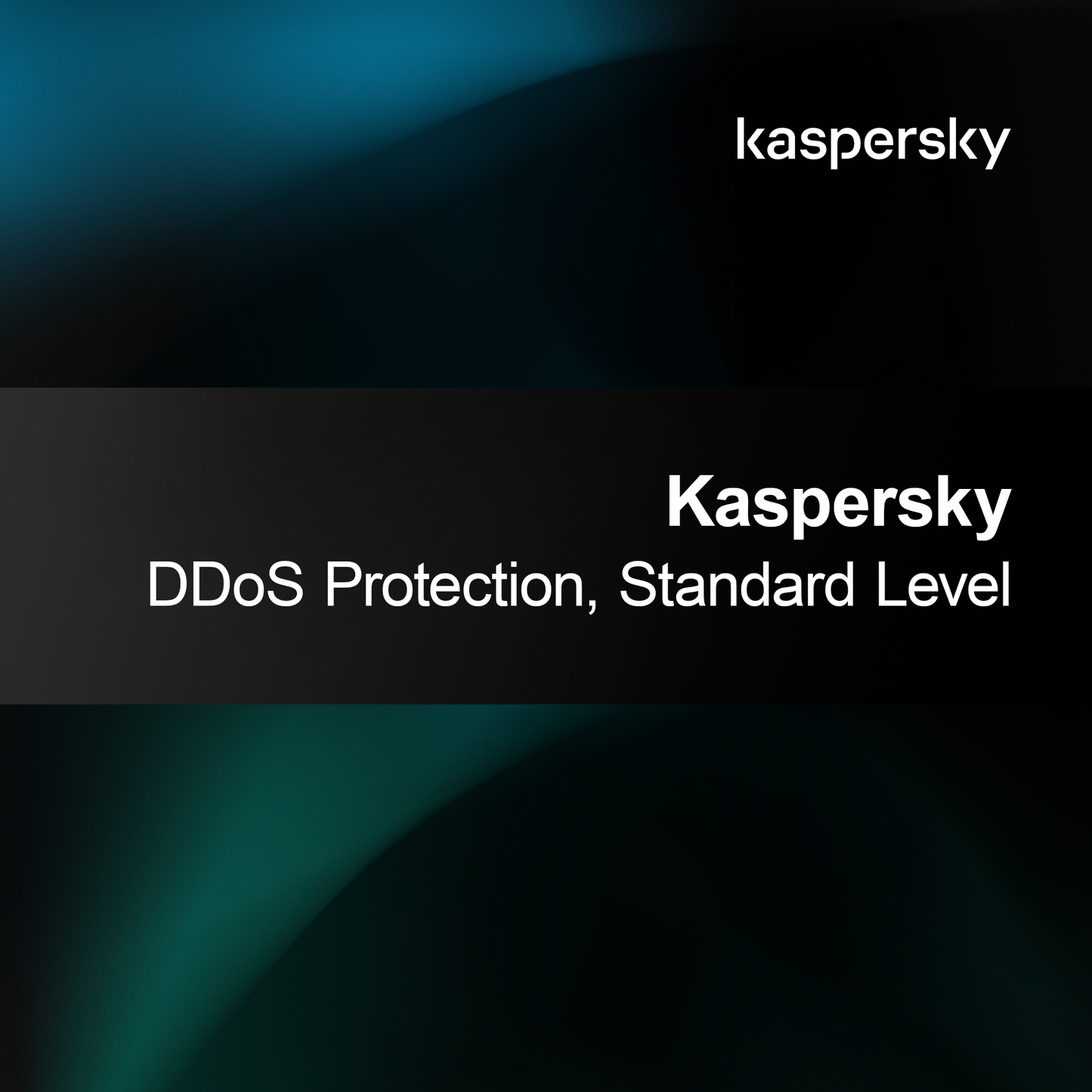 Kaspersky Ochrana proti DDoS, standardní úroveň