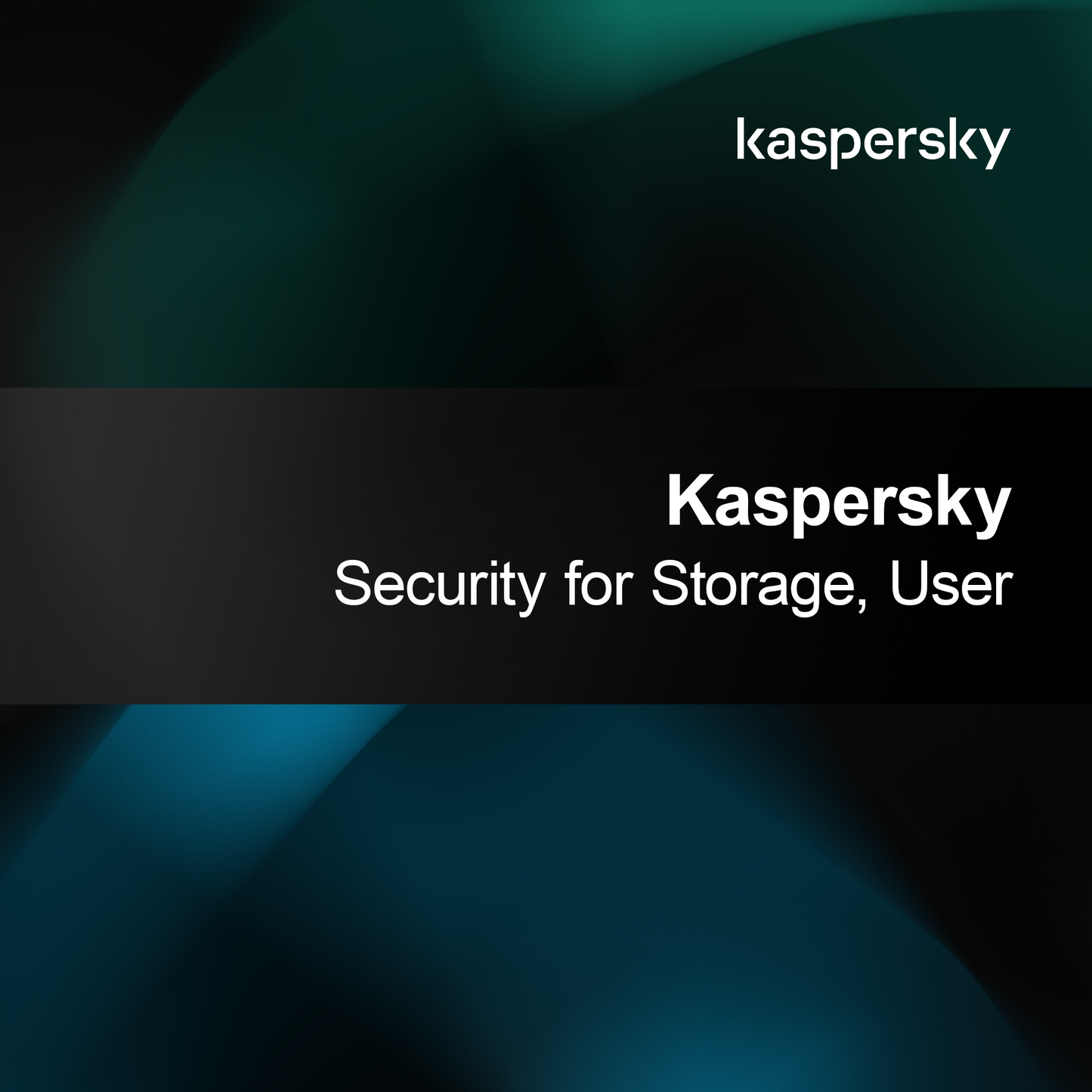 Kaspersky Security pro úložiště, uživatel