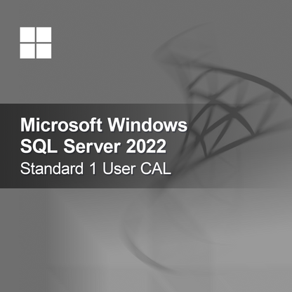 Microsoft SQL Server 2022 Standard 1 uživatelská CAL